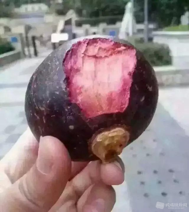 太难吃了