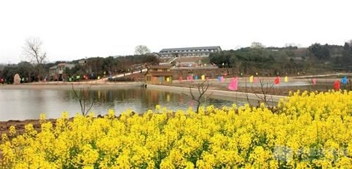 201310151103295579.jpg