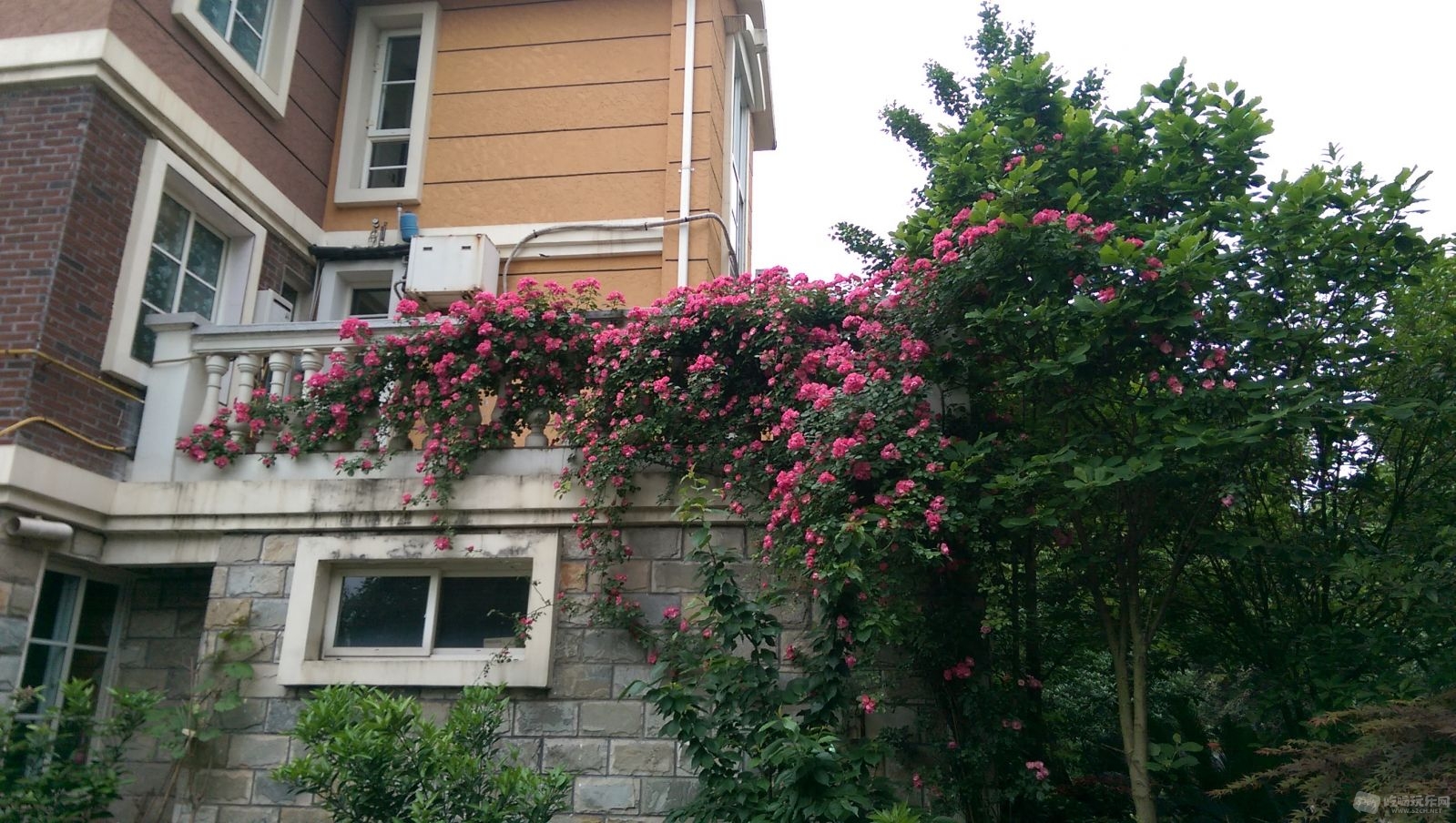 IMAG0258.jpg