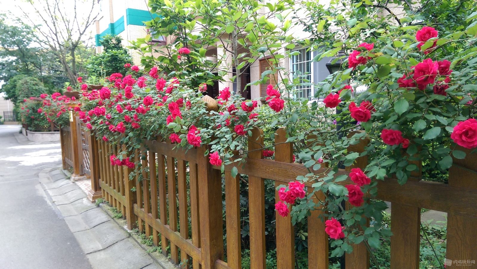 IMAG0262.jpg