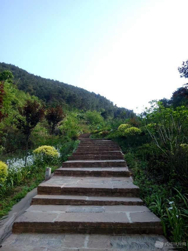 紫霞山