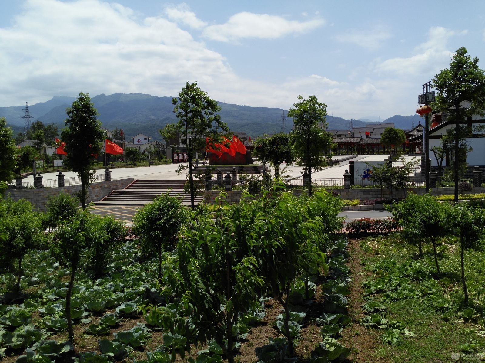 IMG_20160524_135731.jpg