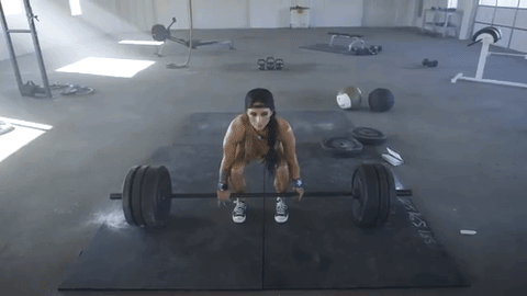 giphy (6).gif