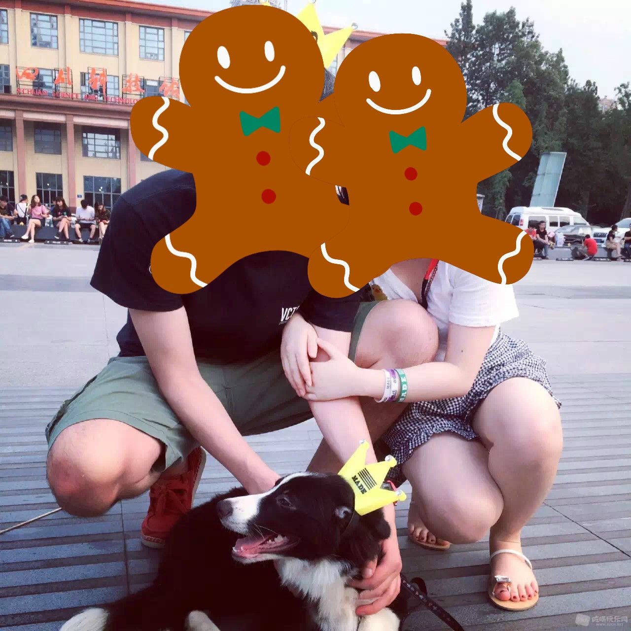 11.jpeg