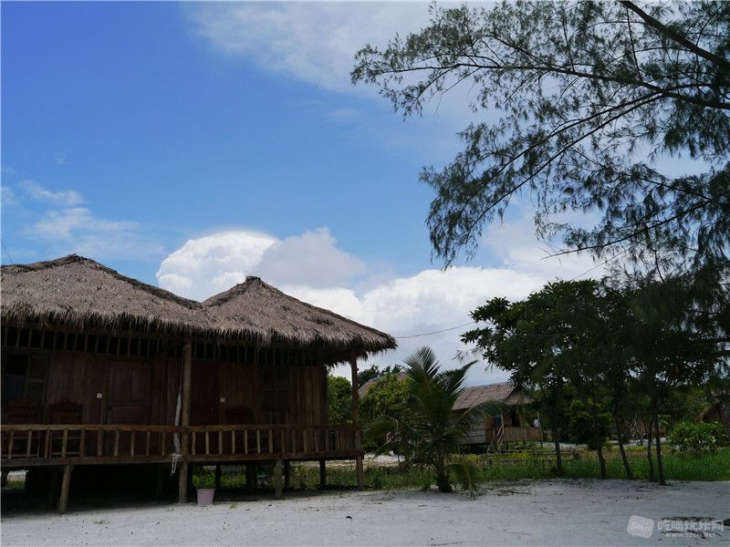P1040442.jpg