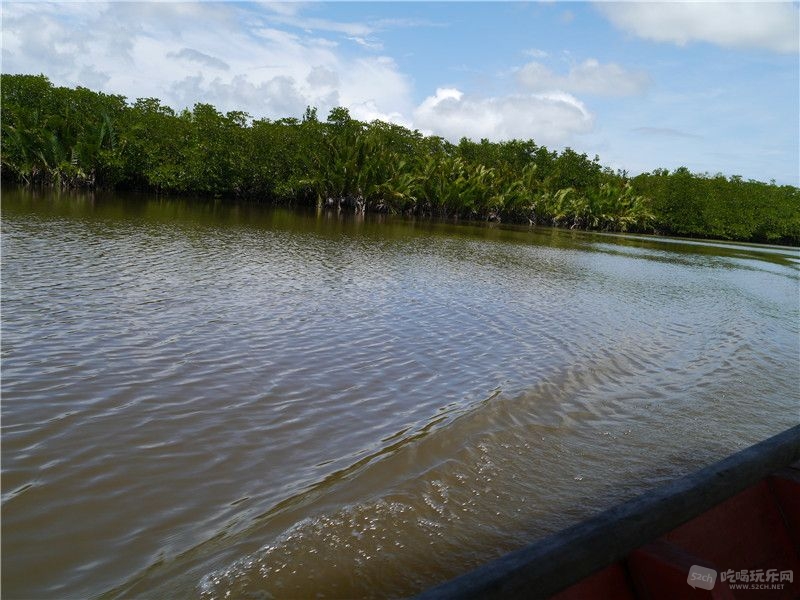 P1040484.jpg