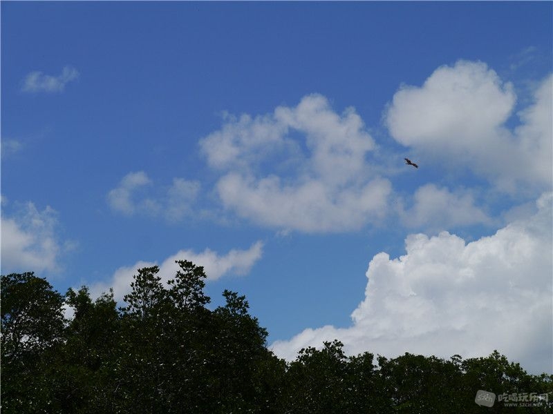 P1040487.jpg