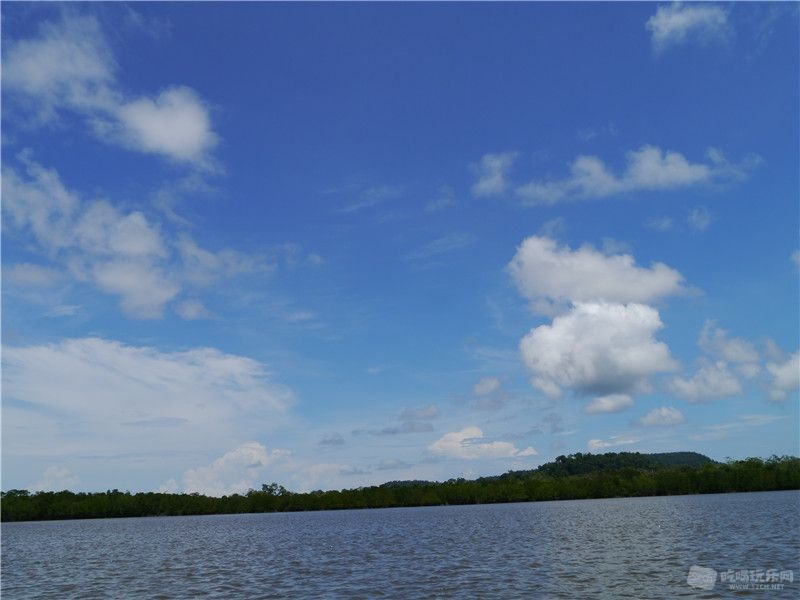 P1040500.jpg
