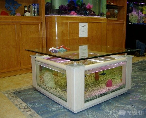 Cool-Aquarium-Coffee-Tables-1.jpg