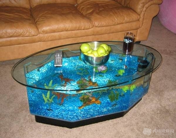 Cool-Aquarium-Coffee-Tables-3.jpg