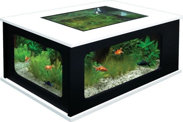 Cool-Aquarium-Coffee-Tables-6.jpg