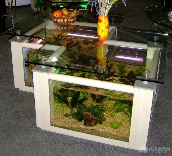 Cool-Aquarium-Coffee-Tables-8.jpg