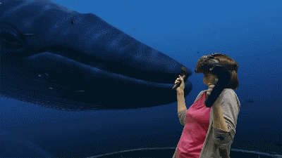 2.gif