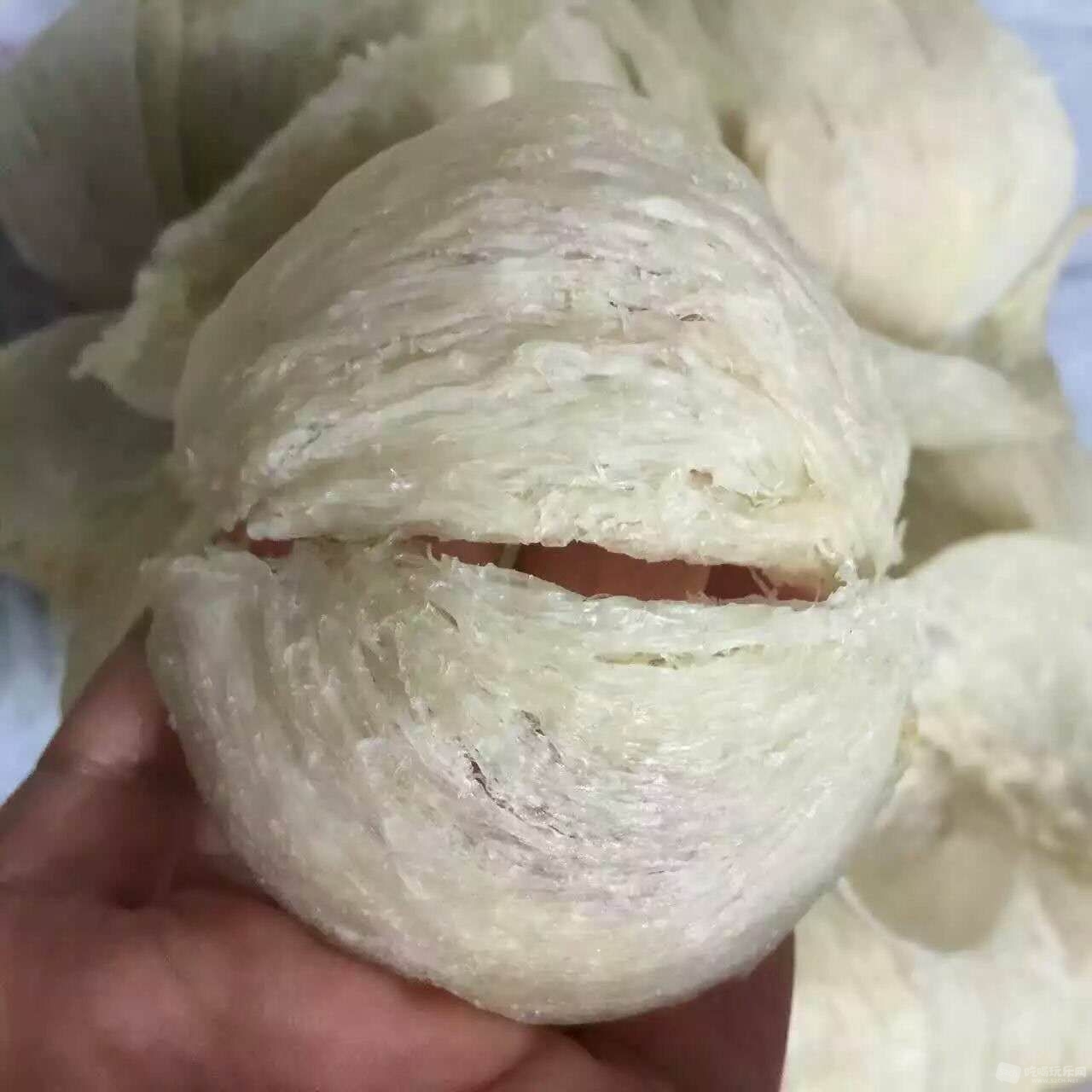 352384715193247309.jpg