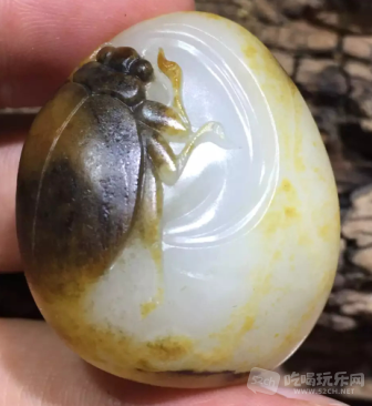 QQ图片20160827102846.png