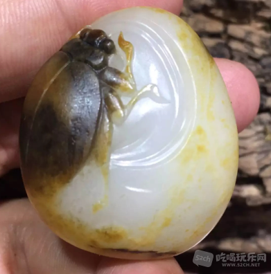 QQ图片20160827102948.png