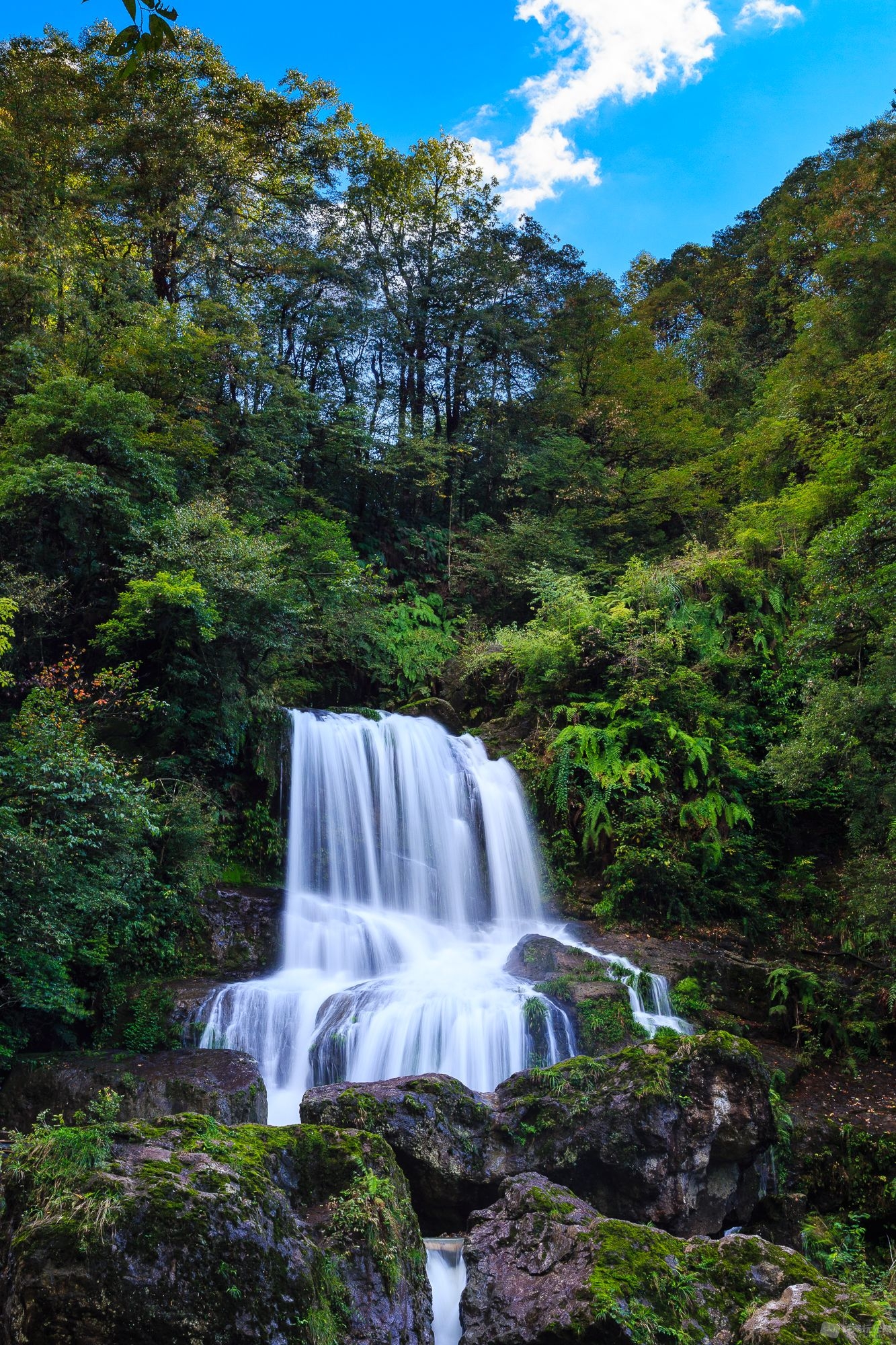 IMG_2830-编辑.jpg
