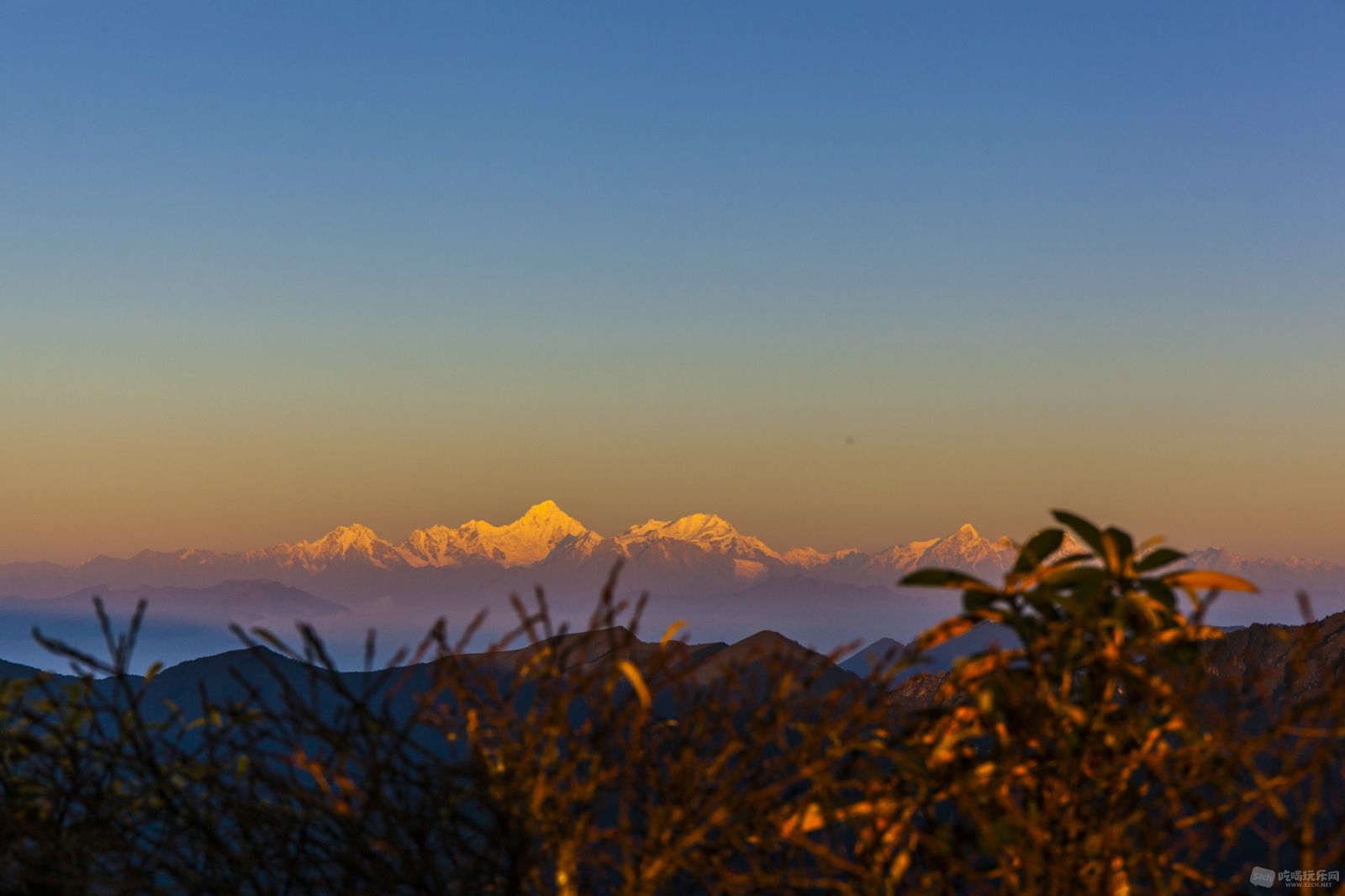 _MG_2262.jpg
