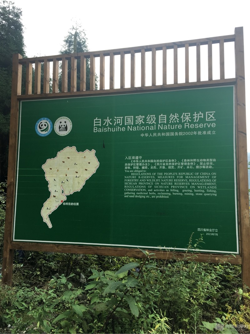 162954qnp5znnxt2pnx9xf.jpg