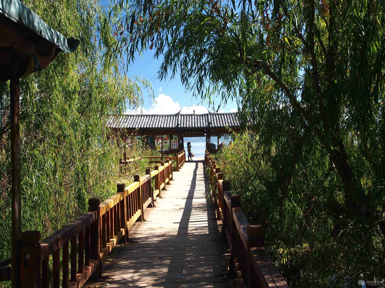 PA031578.jpg
