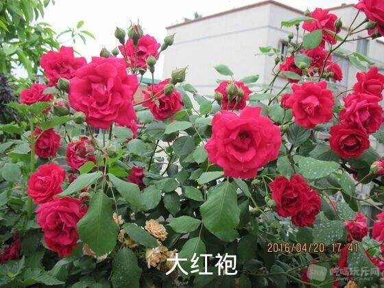 QQ图片20161028184400.jpg