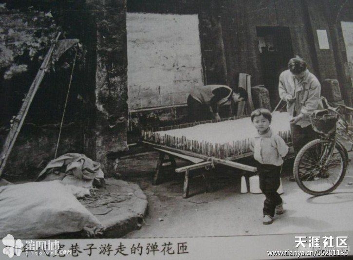 psbF7ZI98XN.jpg