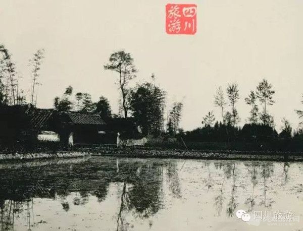 成都平原，农舍和稻田.jpg