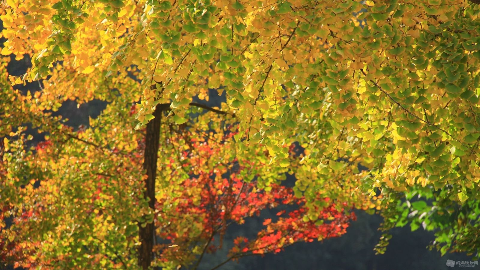 01.jpg