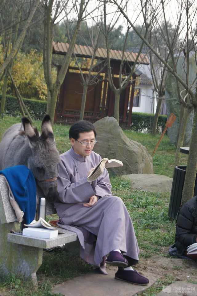 动物园里最早来的小驴子，五年以后也能跟先生一起看书学习传统文化啦！