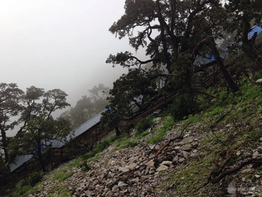 79这是去往下山坐索道的通道，好冷哦，拍了就走。。。。.jpg