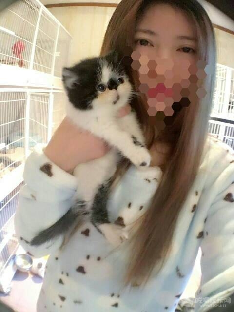 190347ahaceje5wnggwdaw.jpg