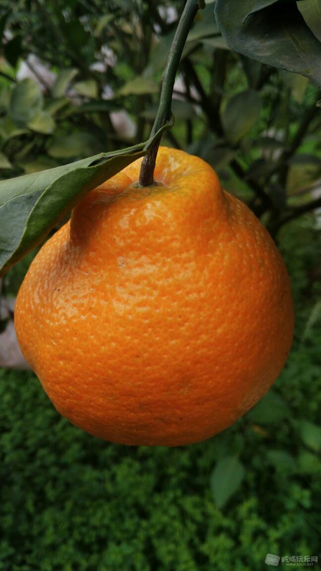 110504ahsdbfdbdsgfgftt.jpg