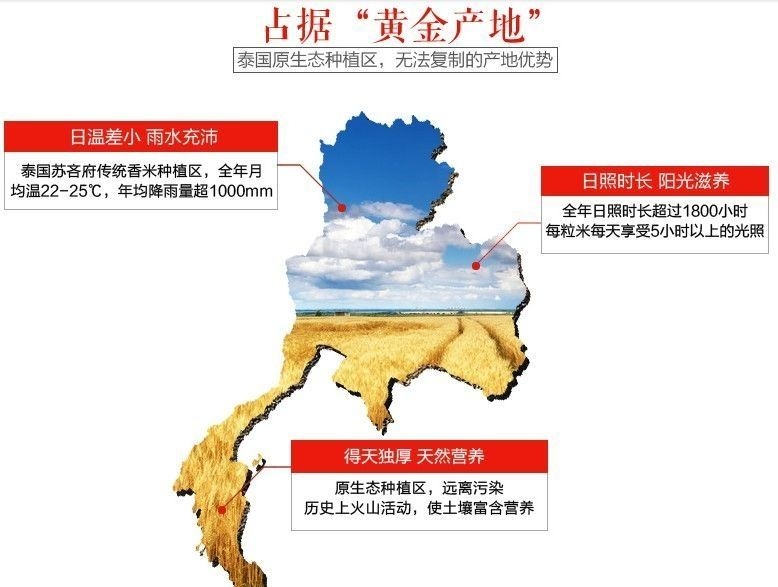 金凤泰米