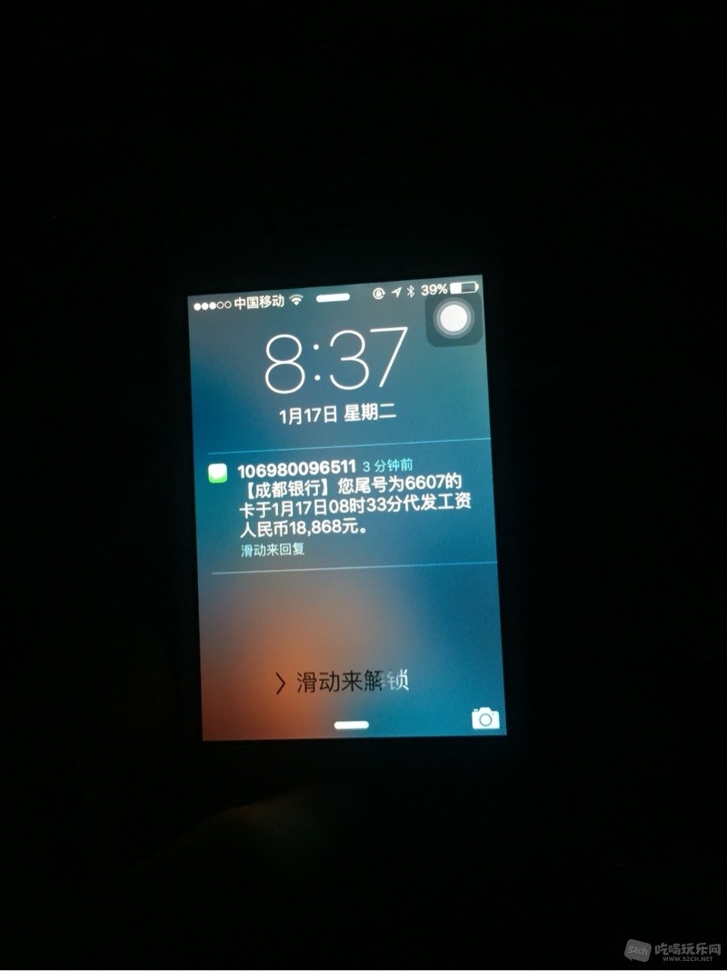 084031zwibiooi7vtztk50.jpg