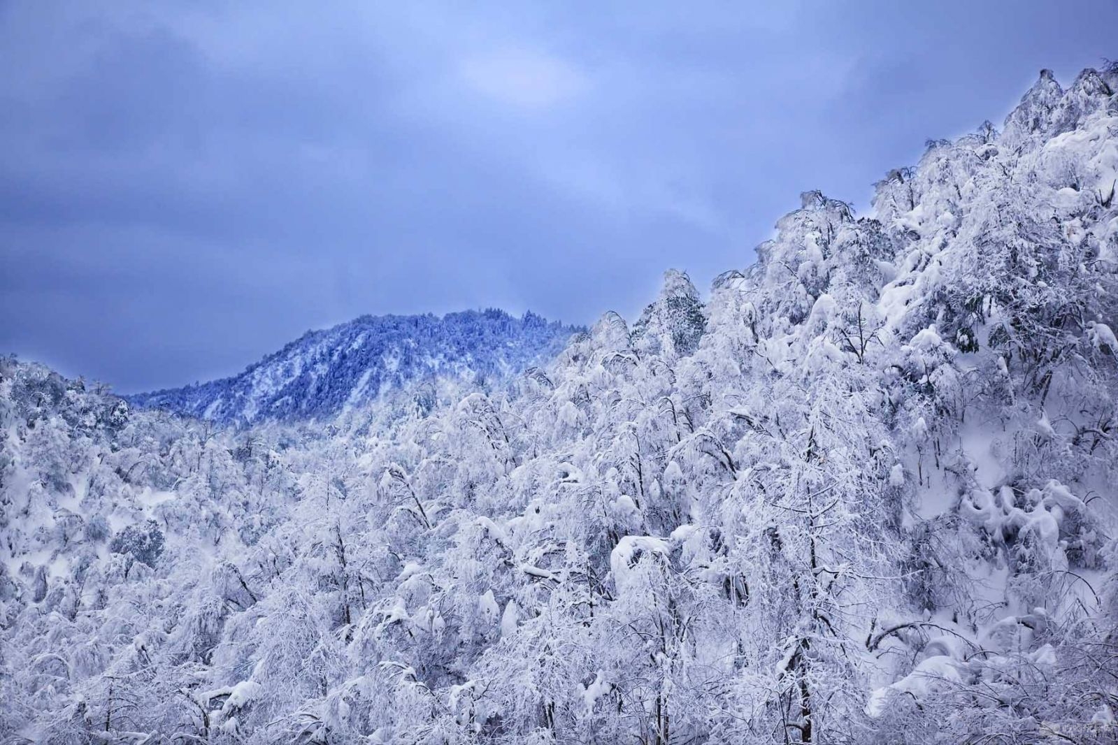 冬天的成都 | 西岭雪山