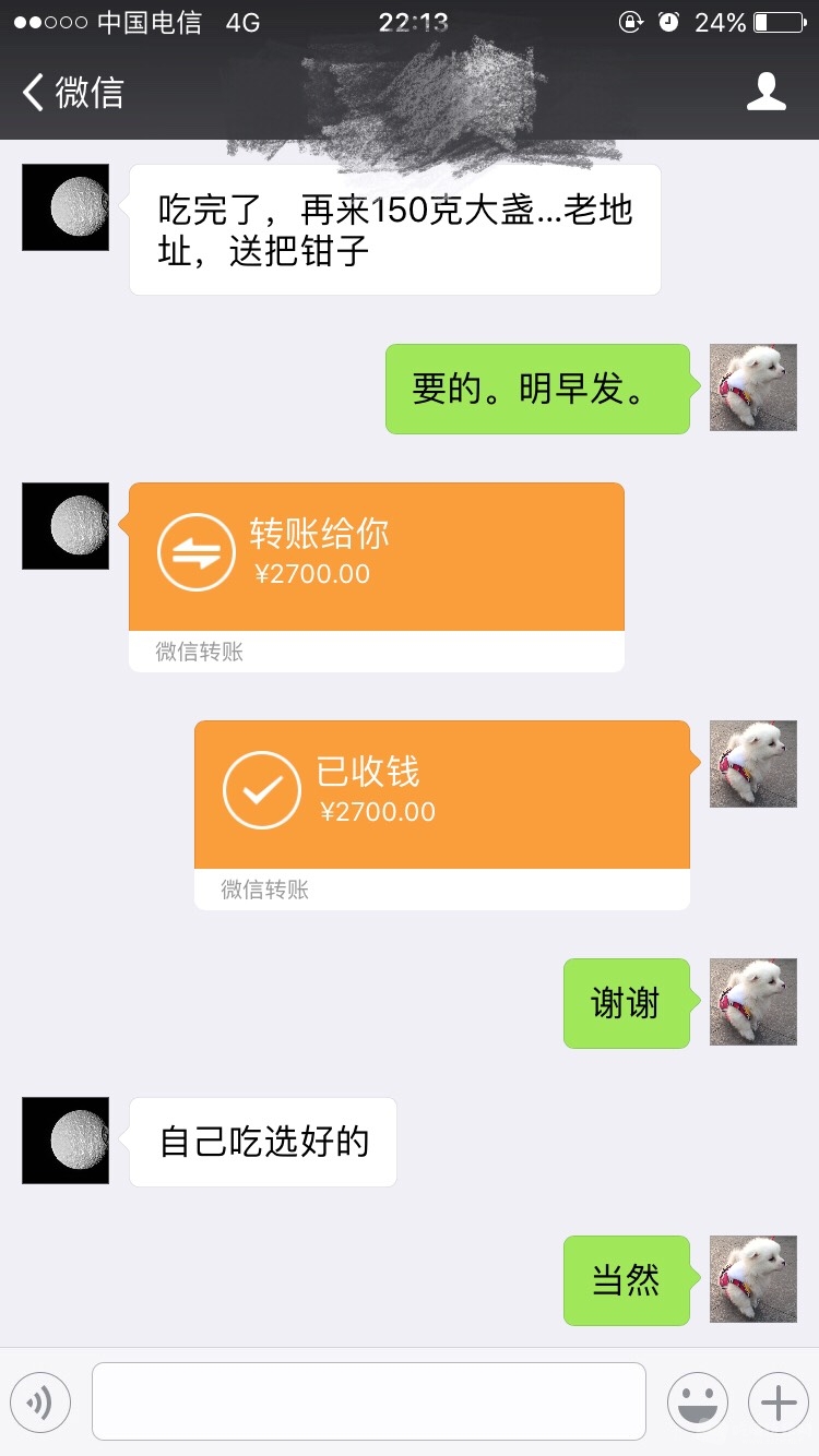 221539dxdbkx4ggm5b9beg.jpg