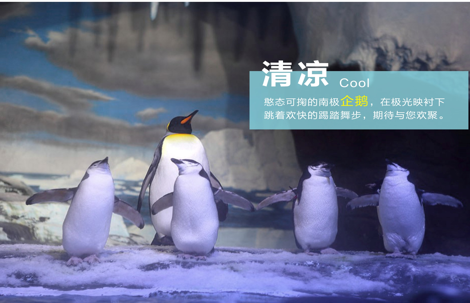 无标题4.png