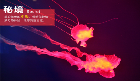 无标题3.png
