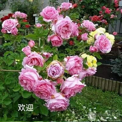 IMG_20161017_205632.JPG