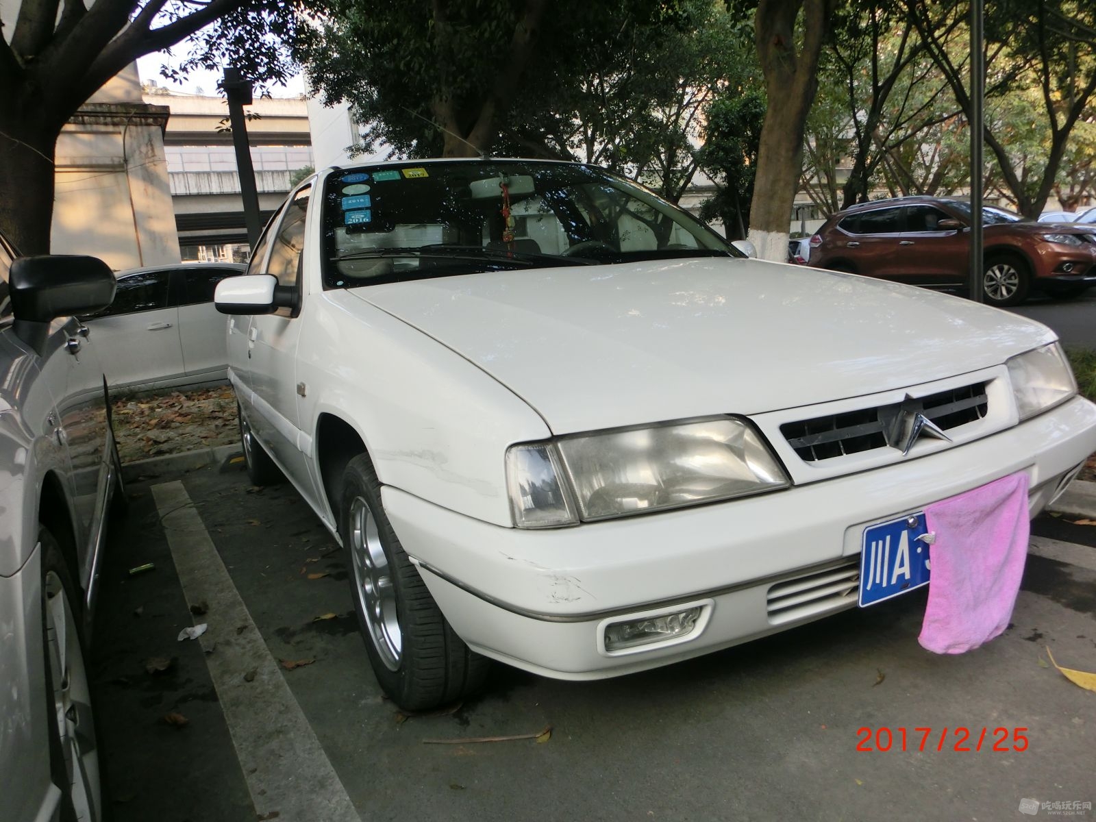 CIMG9891.JPG