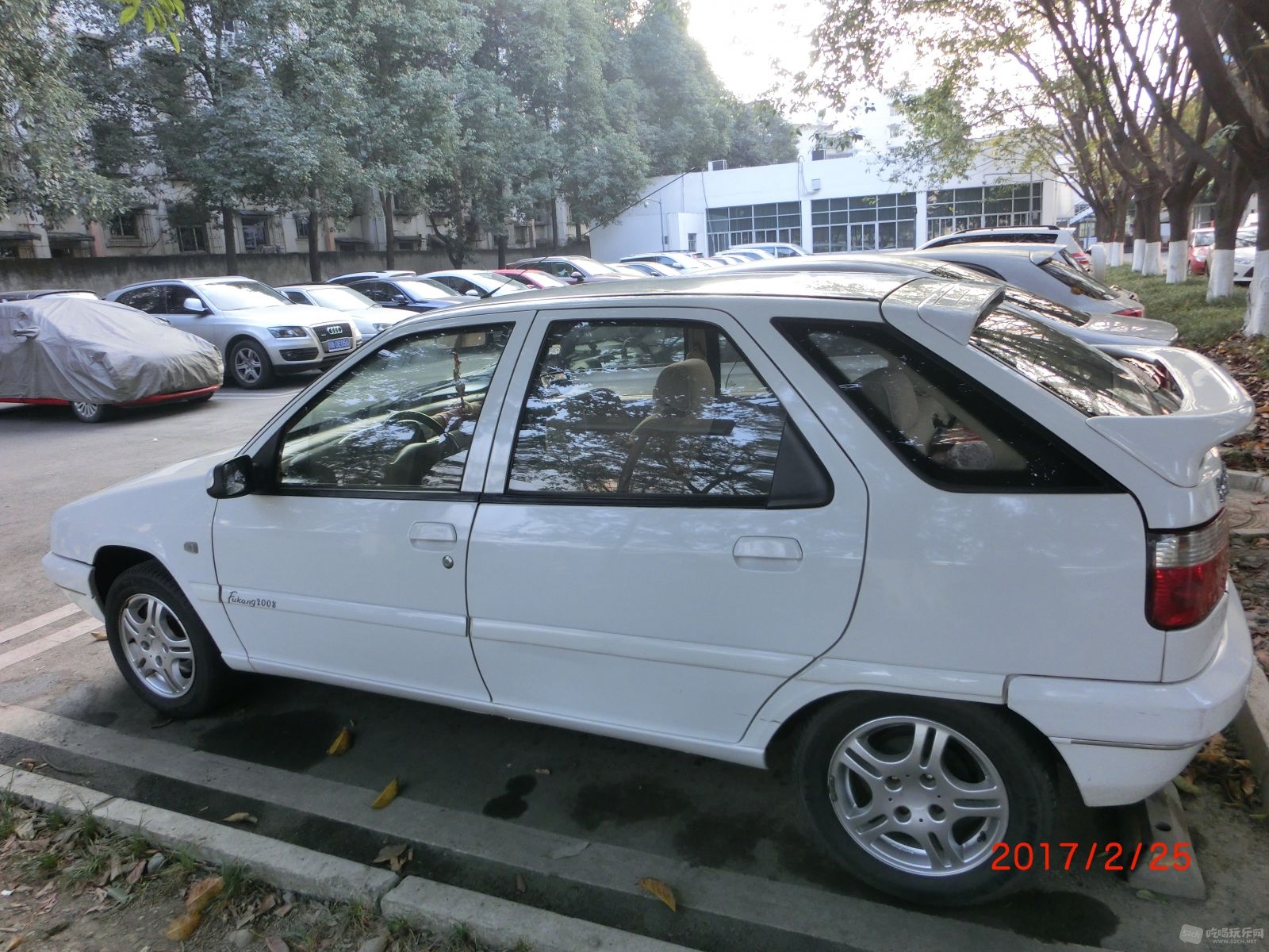 CIMG9900.JPG