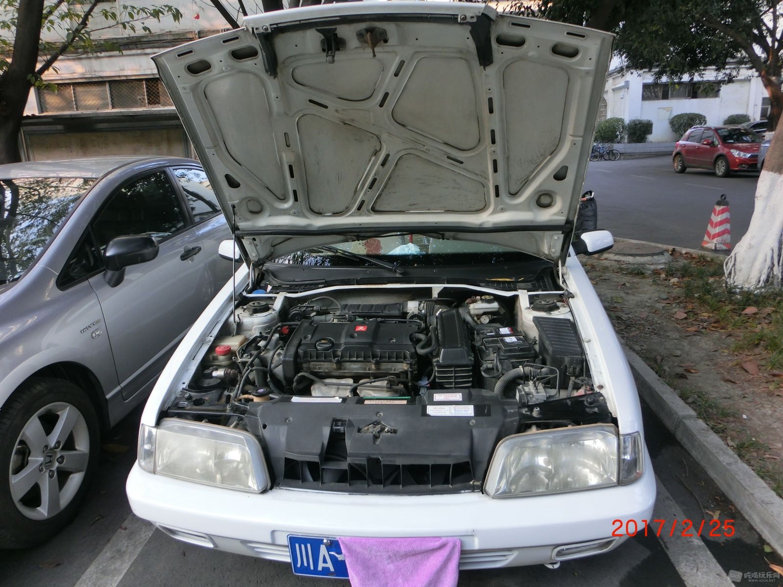 CIMG9889.JPG