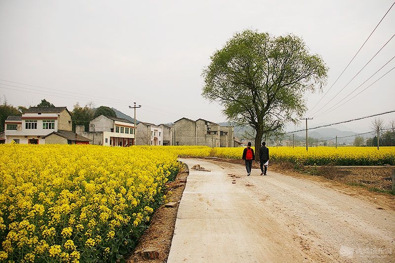 06_MG_5026处理小图.jpg