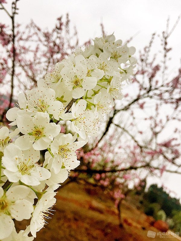 22 IMG_5236处理小图.jpg