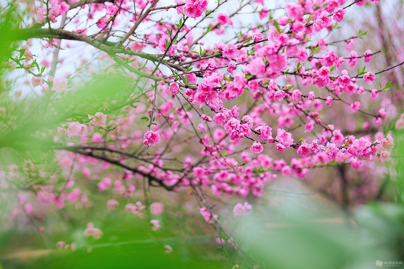 IMG_7626-编辑.jpg