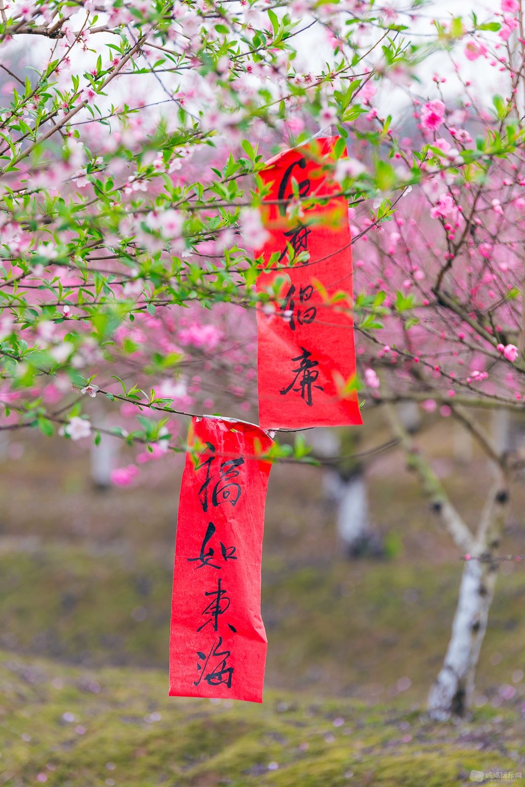 IMG_7706-编辑.jpg