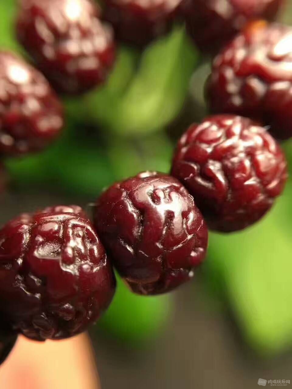 mmexport1491779009399.jpg