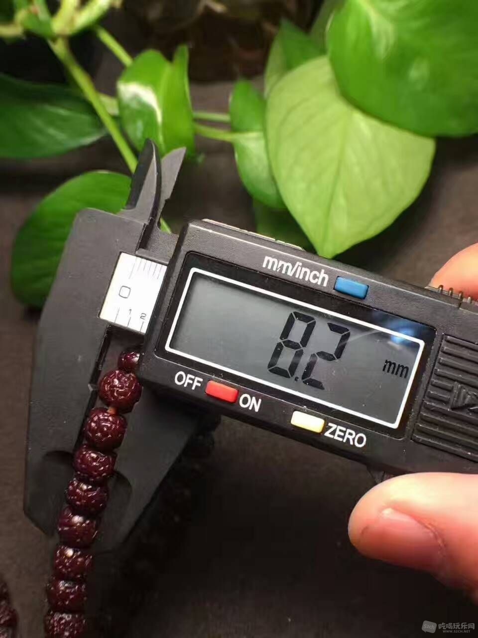 mmexport1491779013500.jpg