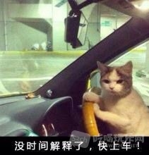 110108yrtxckwuuzt3ufrj.jpg
