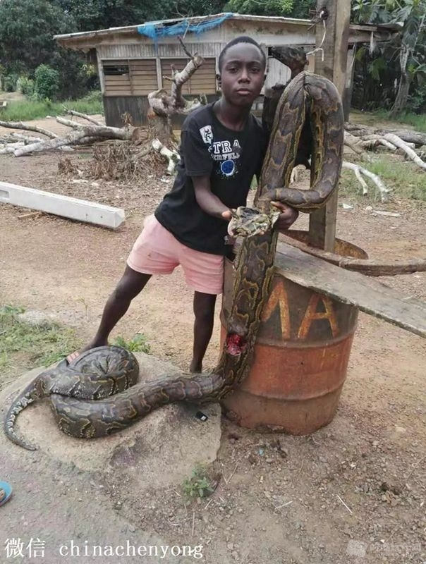 62.jpg